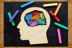 Na zdjęciu przedstawiona jest ludzka głowa z wypełnionym kolorami mózgiem.